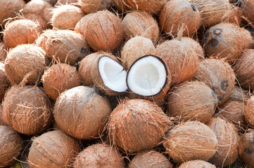 Coconut Nuts 2