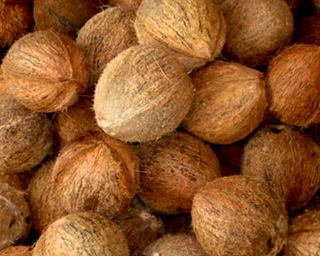 Coconut Nuts 3